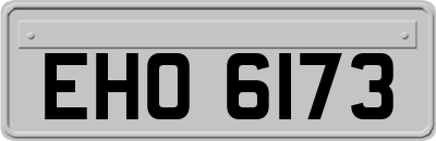 EHO6173