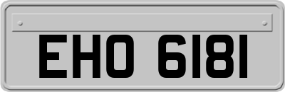 EHO6181