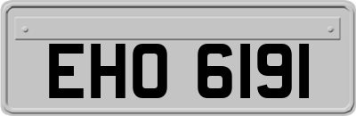 EHO6191