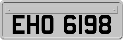 EHO6198