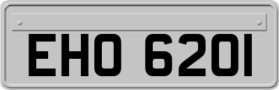 EHO6201