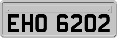 EHO6202