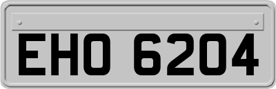 EHO6204
