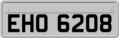 EHO6208