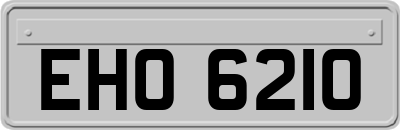 EHO6210