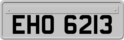 EHO6213