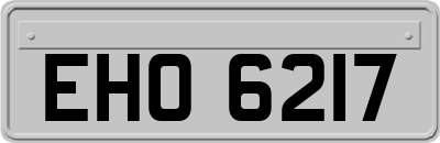 EHO6217