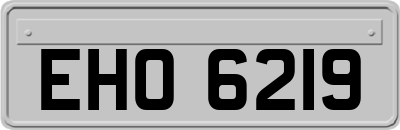 EHO6219