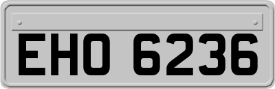 EHO6236