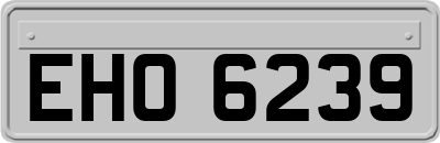 EHO6239
