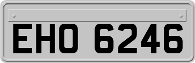 EHO6246