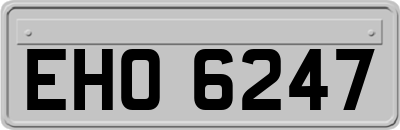 EHO6247