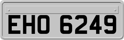 EHO6249