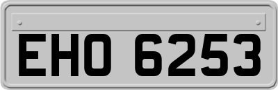 EHO6253
