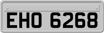 EHO6268