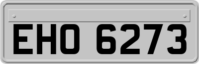 EHO6273
