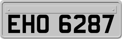 EHO6287
