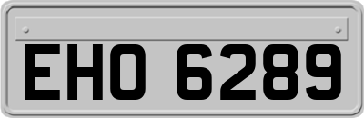 EHO6289