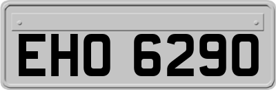 EHO6290