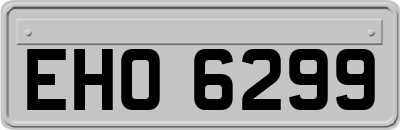 EHO6299
