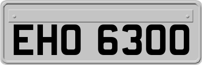 EHO6300