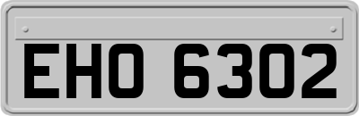 EHO6302
