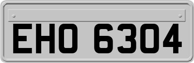 EHO6304