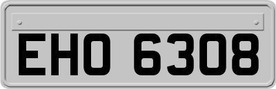 EHO6308