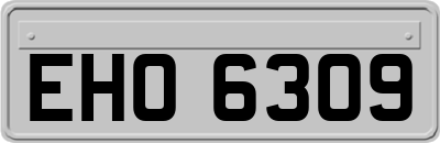 EHO6309