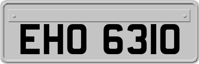 EHO6310