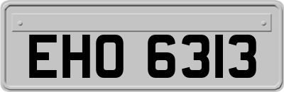 EHO6313
