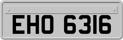 EHO6316