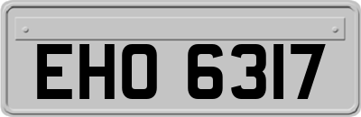 EHO6317