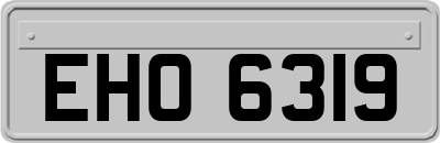 EHO6319