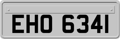 EHO6341