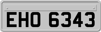 EHO6343