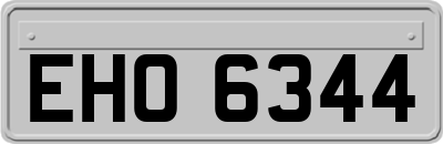 EHO6344