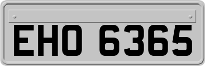 EHO6365