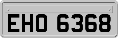 EHO6368