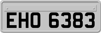 EHO6383