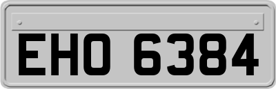 EHO6384