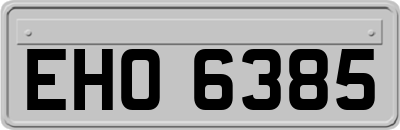 EHO6385