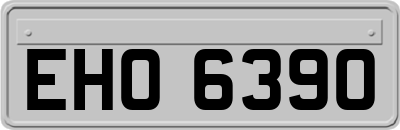 EHO6390