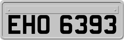 EHO6393