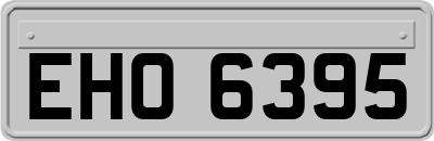 EHO6395