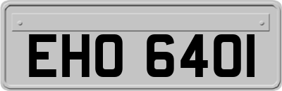 EHO6401
