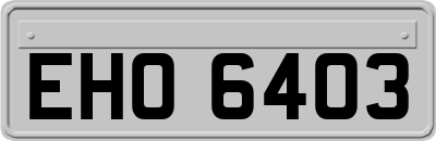 EHO6403
