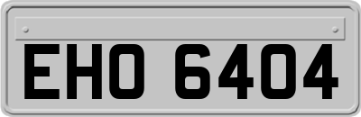 EHO6404