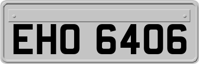 EHO6406