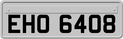 EHO6408